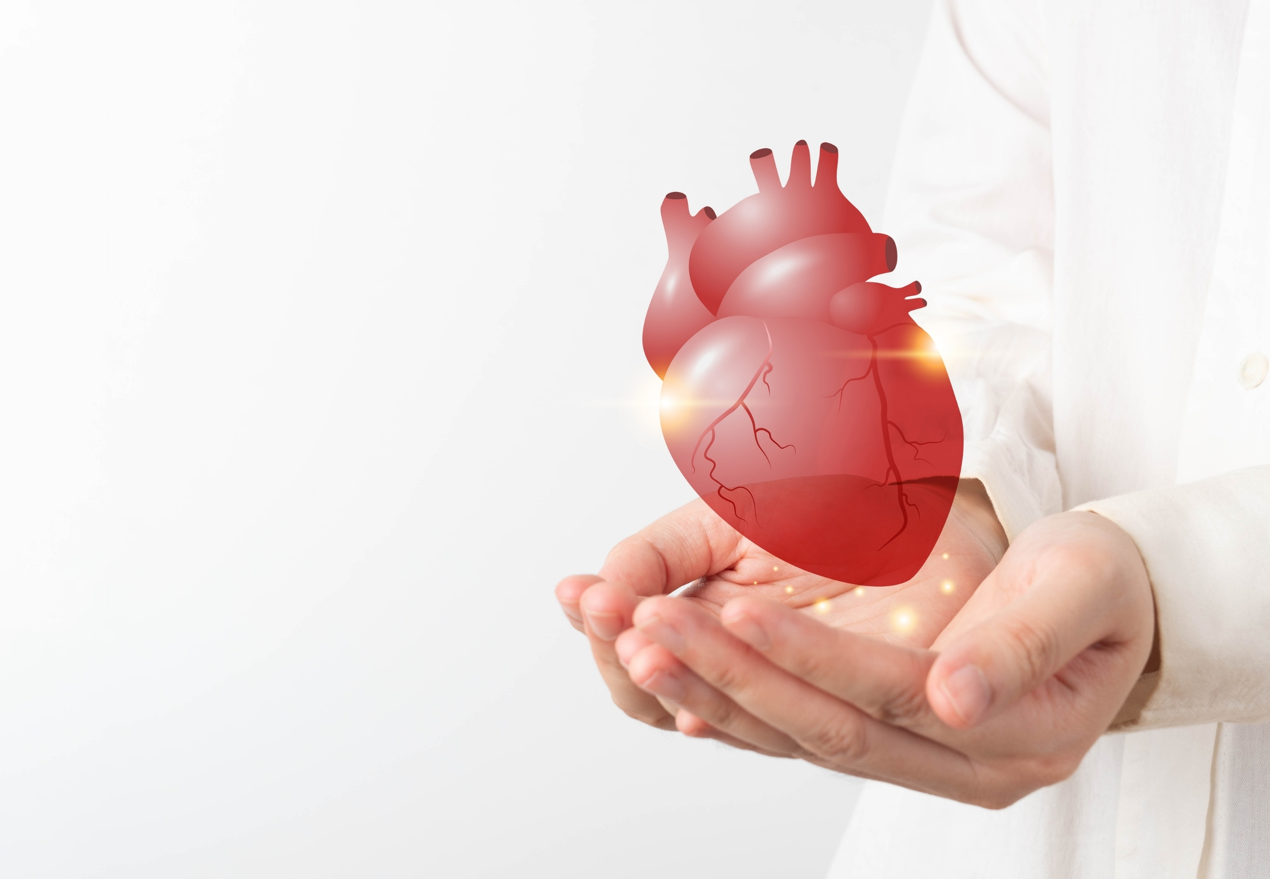 Minimally Invasive Heart Valve Surgery